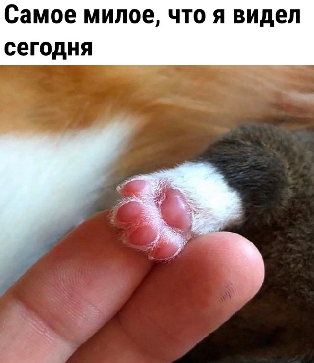 Так себе картинки 22.02.23