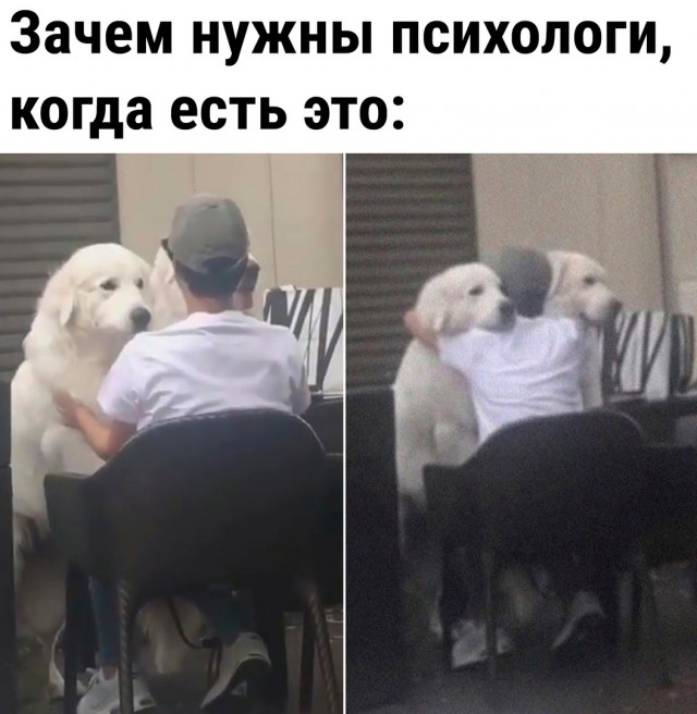 Так себе картинки 07.04.23