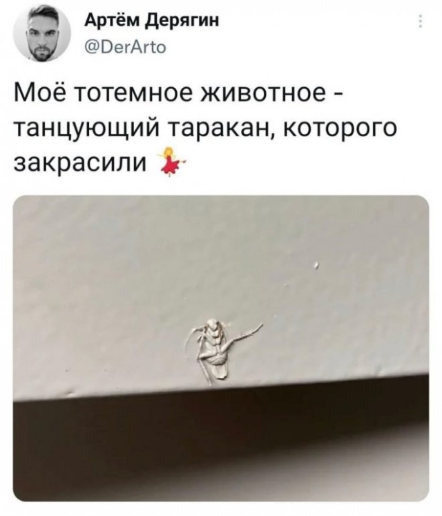 Так себе картинки 06.05.23