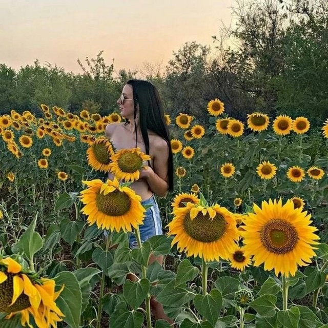 Обычные красивые девушки.