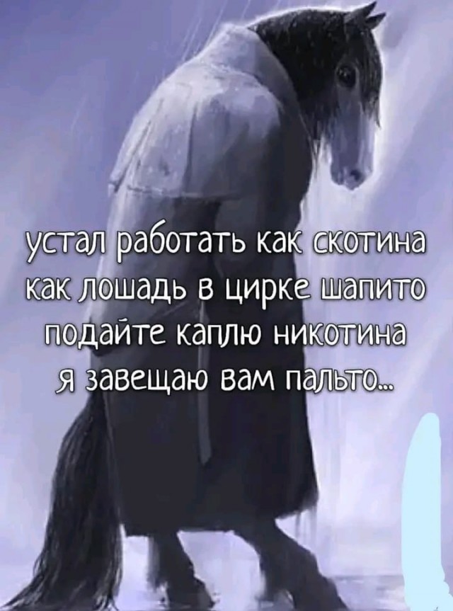 Победная поступь идиотизма по планете – том 16