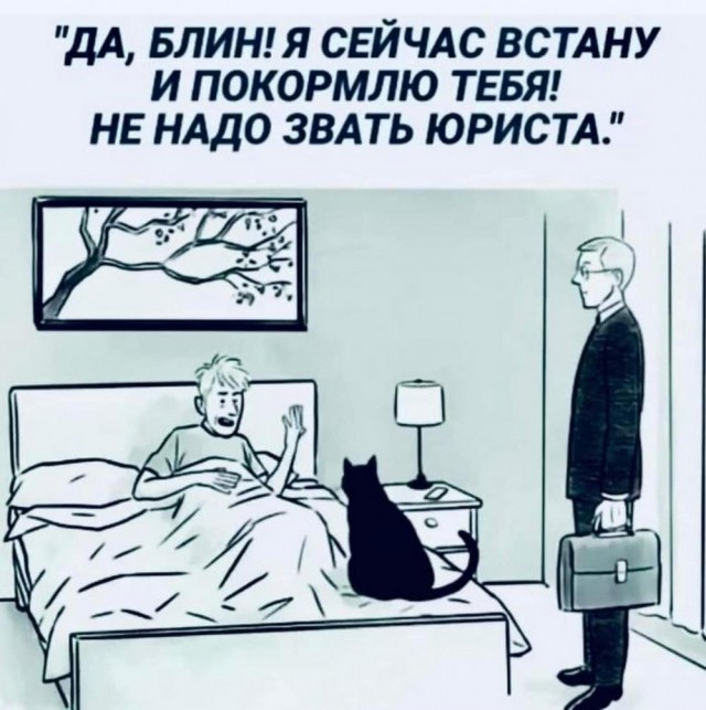 Баяны разной степени давности.