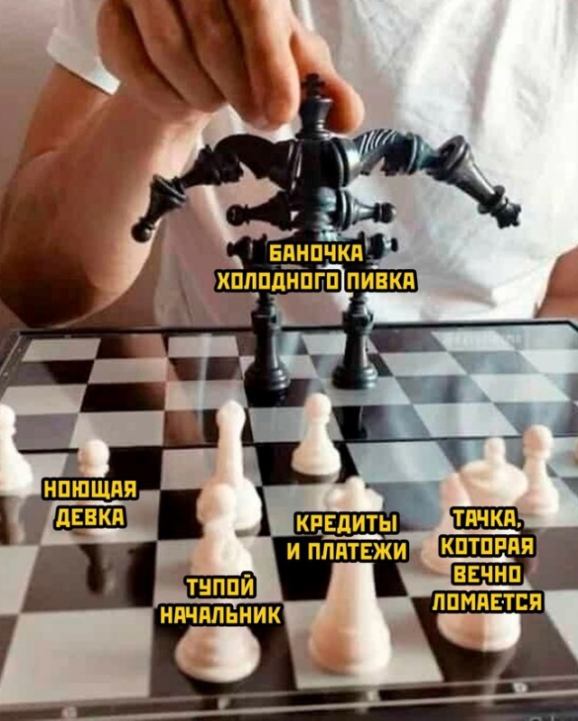 Весёлый полтишок 04.06.24