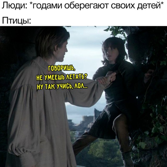 Весёлый полтишок 22.07 24