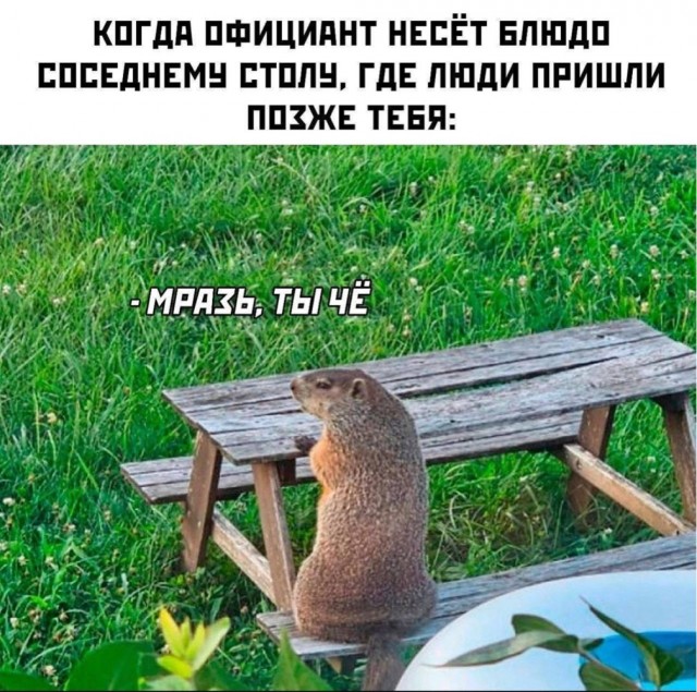 Немного забавных видео и картинок