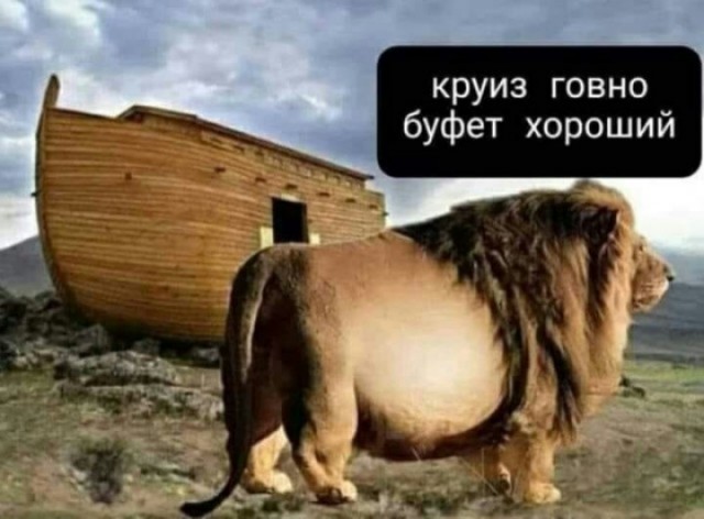 Баяны: апрель 2023 г - июль 2023 г