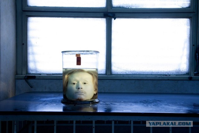 Голова маньяка в банке.