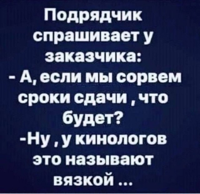 Так себе картинки 20.03.25