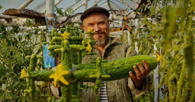 Французская носопырка пытается повторить