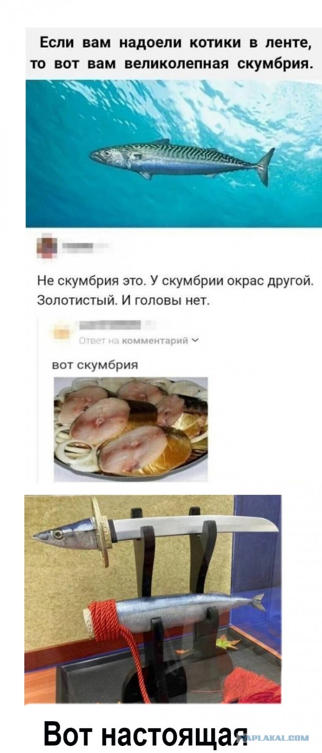 Завалялось тут случайно немного забавных картинок