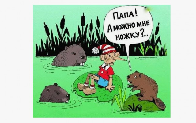 Башкирский бобр даёт отпор мужчине, который заметил, как грызун ворует стройматериалы