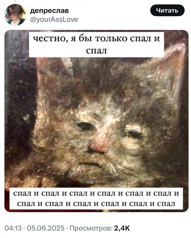 Девушка попросила в Хвиттере остальных скинуть любимые мемы с котами