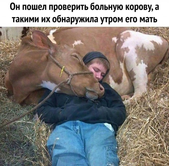 Так себе картинки 09.08.25