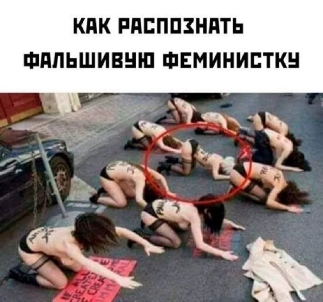 Так себе картинки 25.01.26