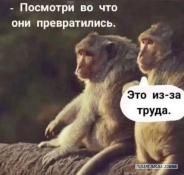 Веселые картинки в пятницу (17.04)