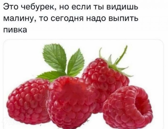 Картинки для деградации 221 (разной степени свежести)