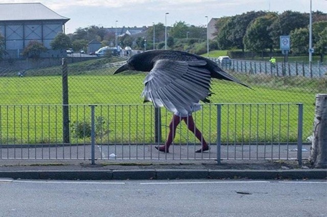 Картинки на 25.07