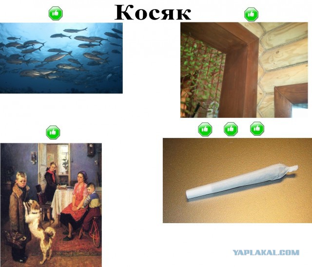 Изучаем русский язык