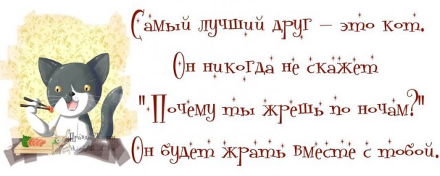 Смешные фото из сети