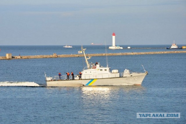 Украина встает с колен!