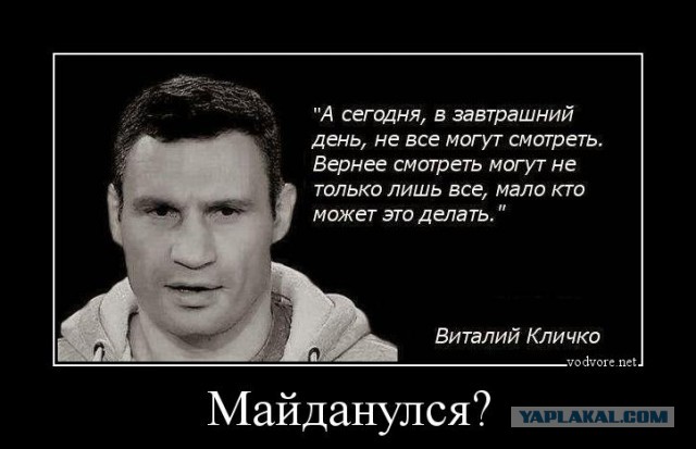 Политический юмор