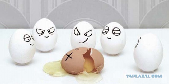 Коричневые и белые яйца