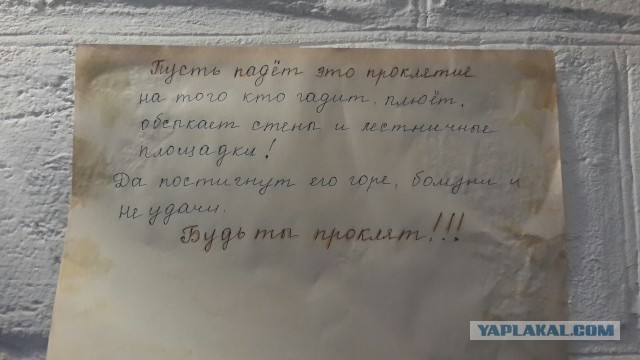 В нашем доме поселился замечательный сосед...
