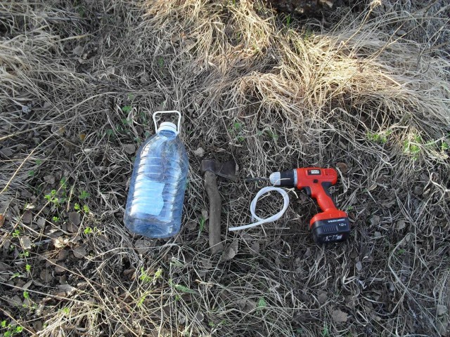 Сбор березового сока