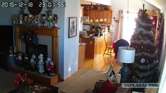 За что я люблю китайцев