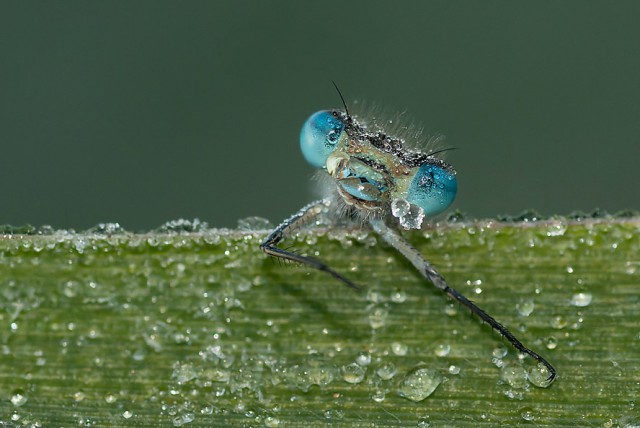 А что это вы здесь делаете?