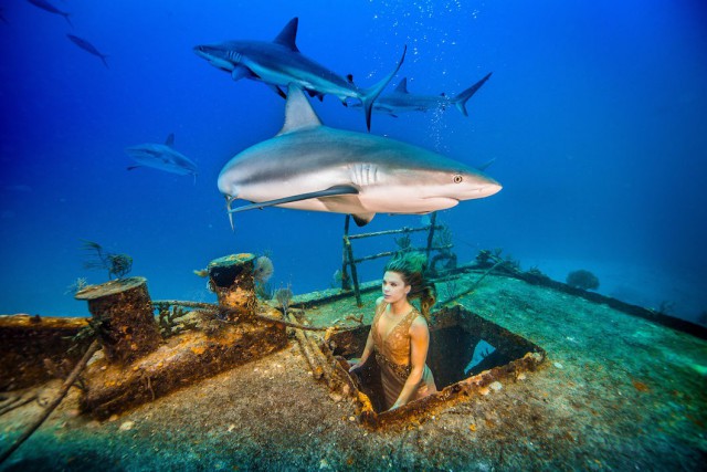 Подборка любопытных фотографий со всего света