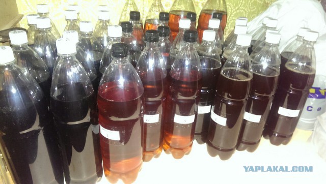 ЯП перепись, делитесь кто что (делает, увлечения, мастерит, рукожопит)