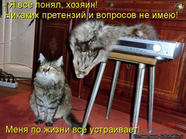 Девушке недолго пришлось гадать, кто жрал ее помаду