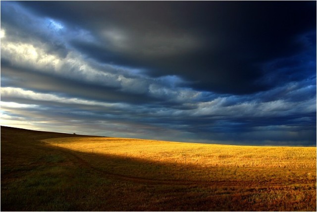 Яркие фотографии John White