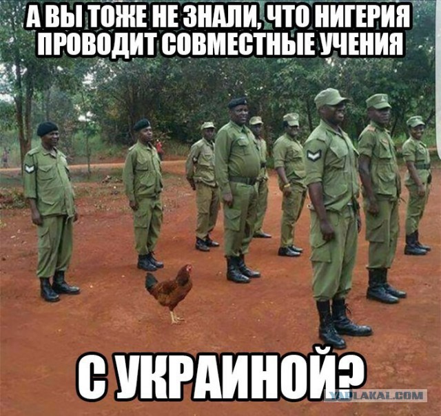 Воскресная политота!