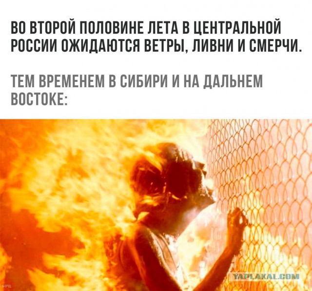 Прикольные картинки 06.07.2017