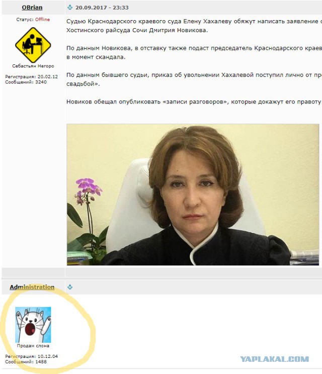 СМИ узнали о скорой отставке "золотой судьи"