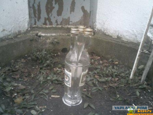 Картинка тест