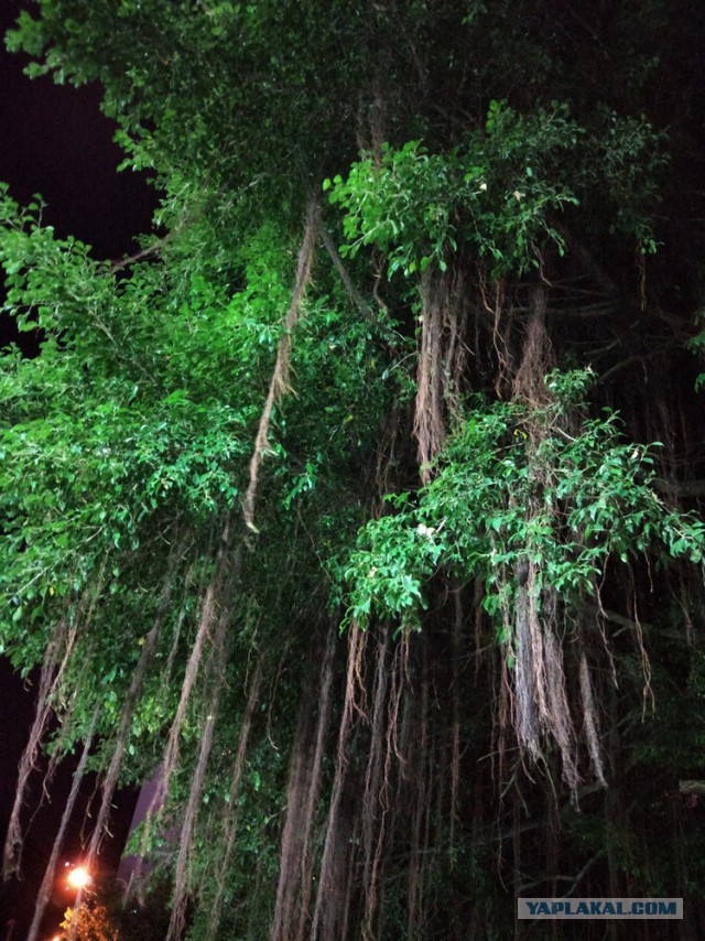 ХАЙНАНЬ. Записки путешественника. Часть первая.