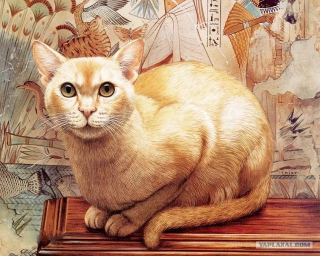 Кошки от художника Geoffreytristram