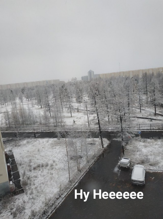 Прикольные картинки абавсём