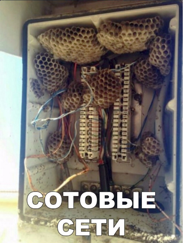 Нестандартный юмор