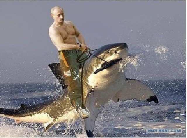 Как умеет, так и ловит