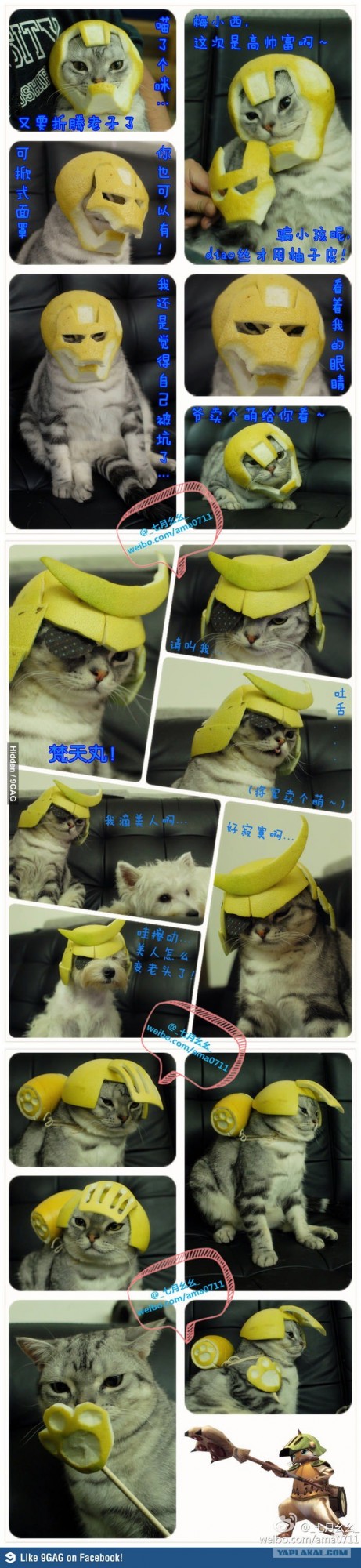 Котэ + Лимон =...