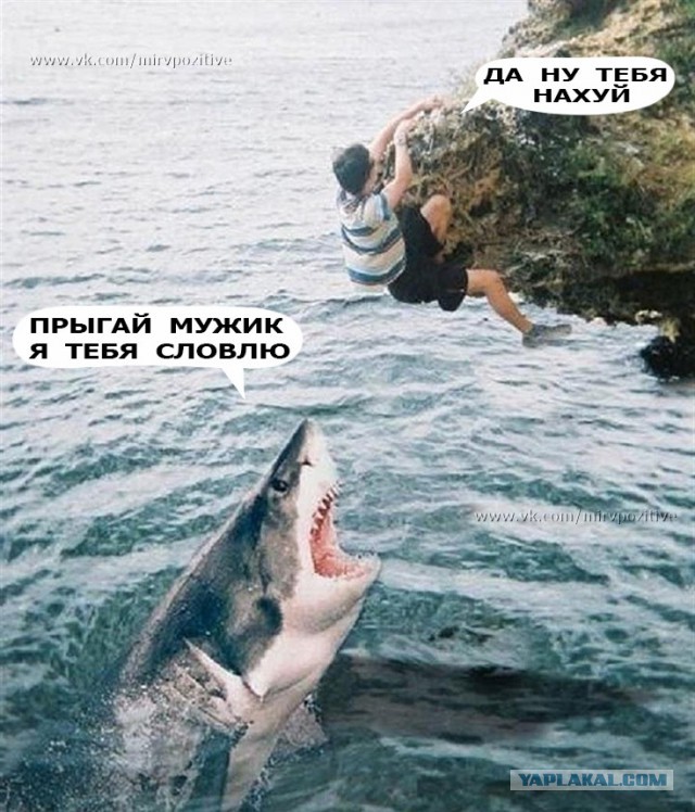 Картинки с надписями и анекдоты