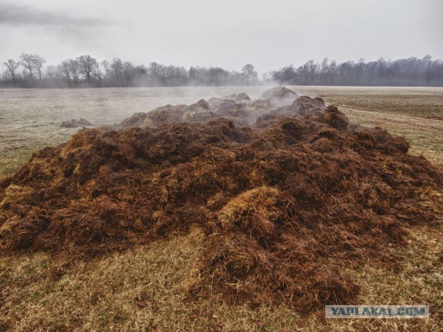 Аромат каждой из этих 20 фотографий вызывает очень сильную ностальгию