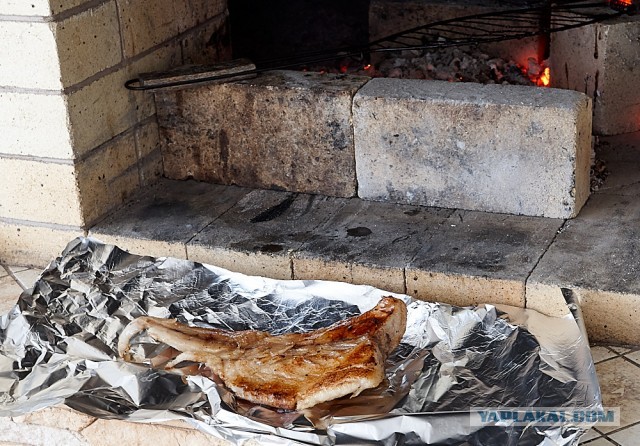 Стейк из хвостика на гриле (Пародия на пародию Пародии Апельсинии)