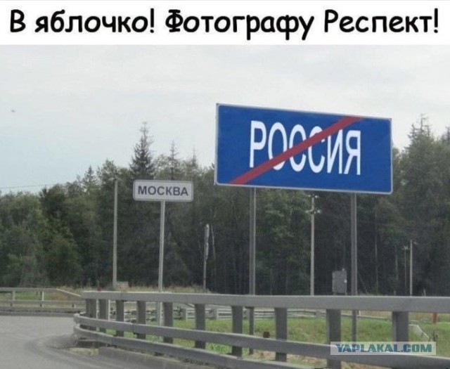 Прикольные комментарии и высказывания из Сети 07.09.19