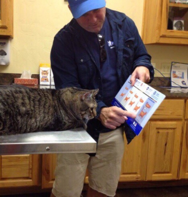 Калейдоскоп Картинок