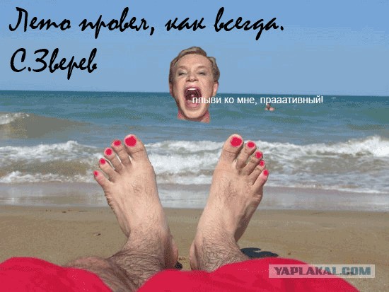 Фотожаба: Как я провел лето